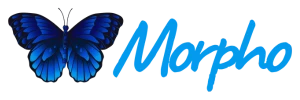Morpho Cuidados Paliativos